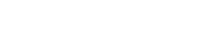 Logo of the German Diabetes-Center (DDZ)